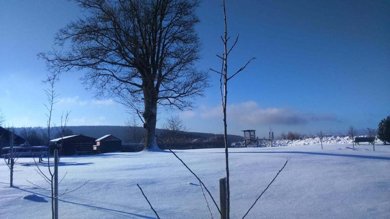 B&B All Seasons Winterberg Zewnętrze zdjęcie