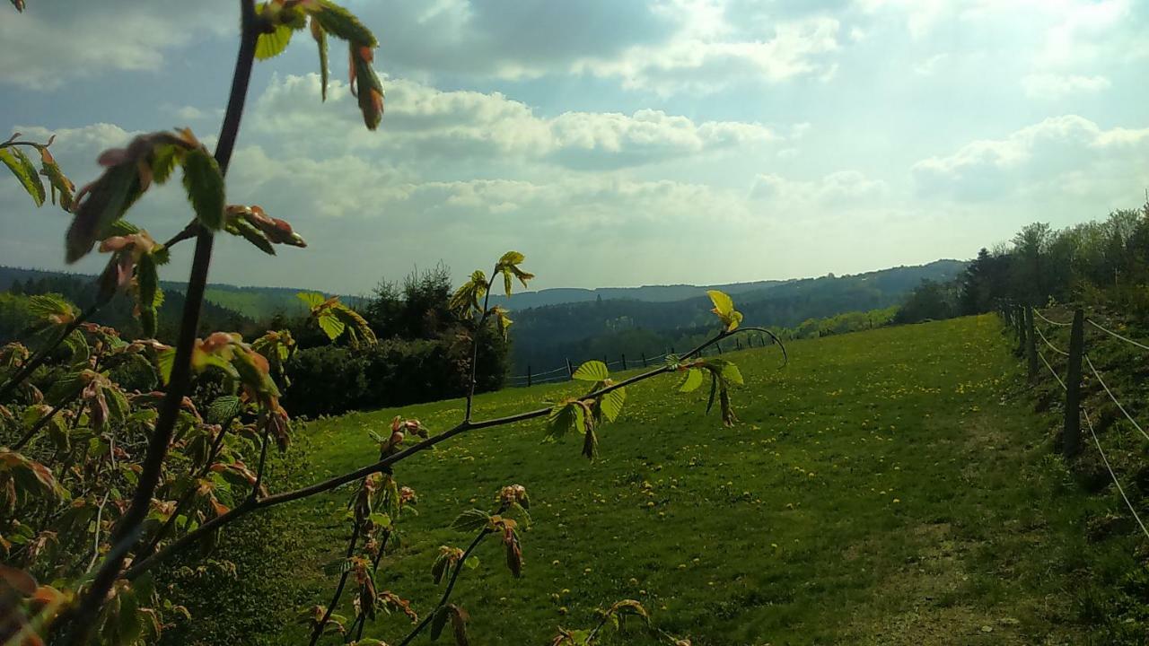 B&B All Seasons Winterberg Zewnętrze zdjęcie